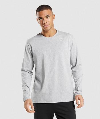 Long Sleeve Męskie Gymshark Crest Głęboka Szare | PL 3624VRW